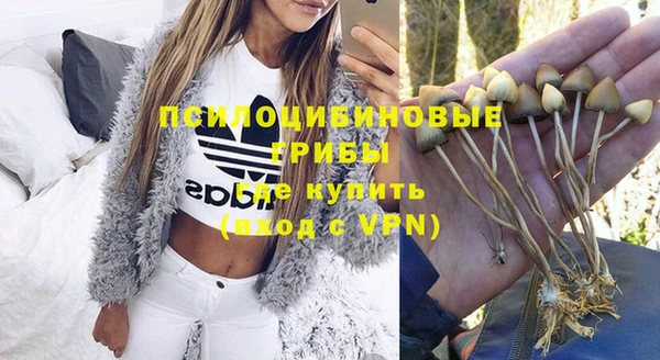 2c-b Алексеевка