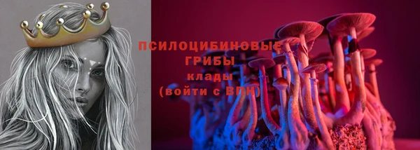apvp Новокубанск