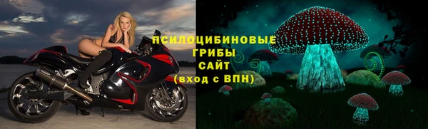 ПСИЛОЦИБИНОВЫЕ ГРИБЫ Абинск