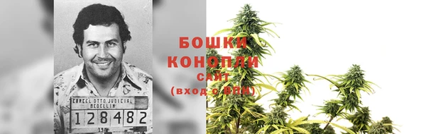соль ск Абаза