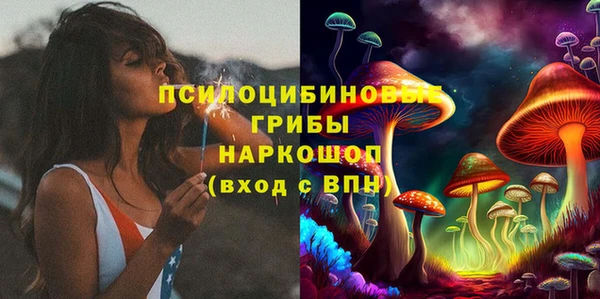 ПСИЛОЦИБИНОВЫЕ ГРИБЫ Абинск