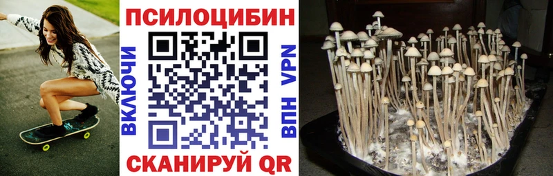 Галлюциногенные грибы мухоморы  наркошоп  Сочи 